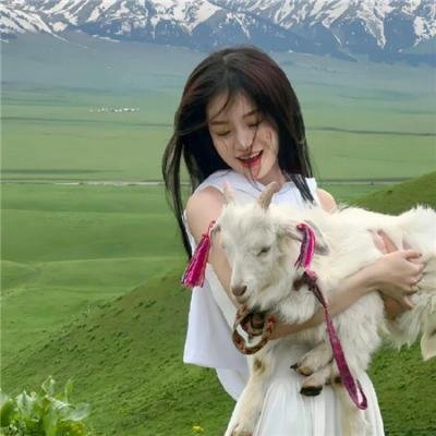 我的英雄学院：英雄新世纪